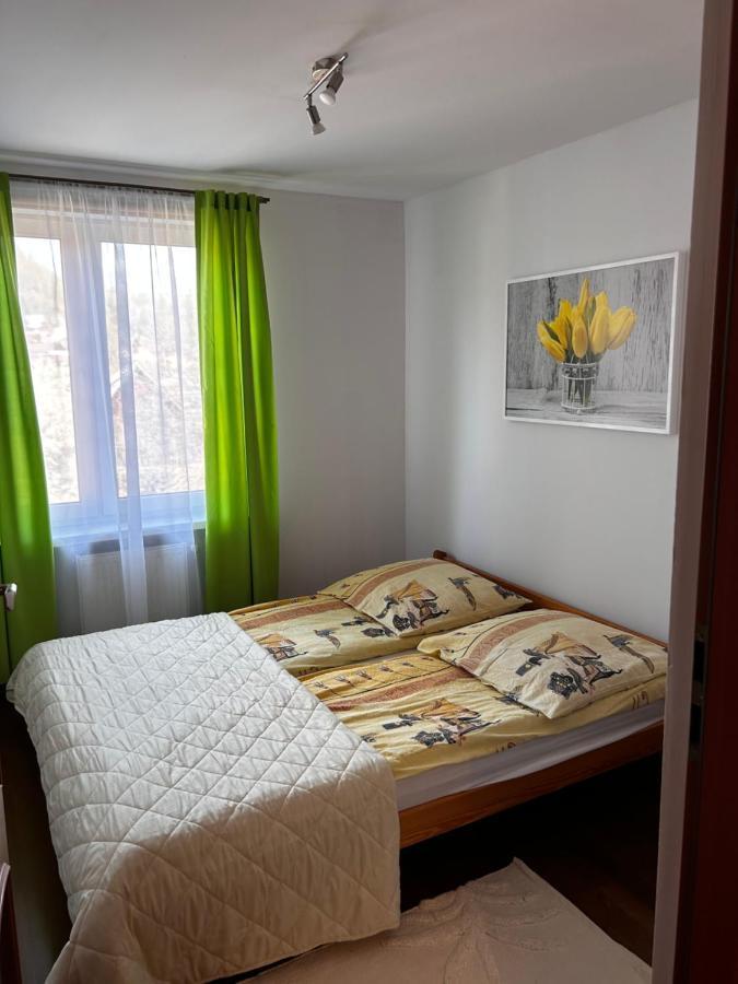 Nad Grajcarkiem Pieniny Appartement Szczawnica Buitenkant foto